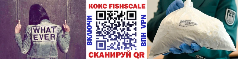 darknet наркотические препараты  закладки  Кулебаки  Cocaine Fish Scale 