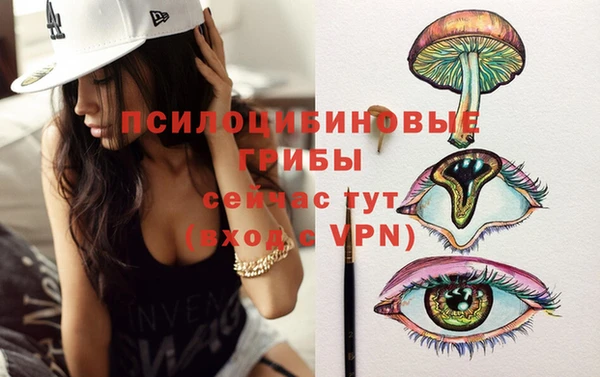 дурь Алексеевка