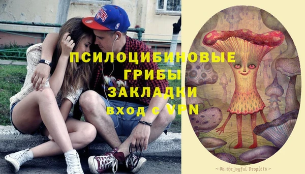 стафф Алзамай