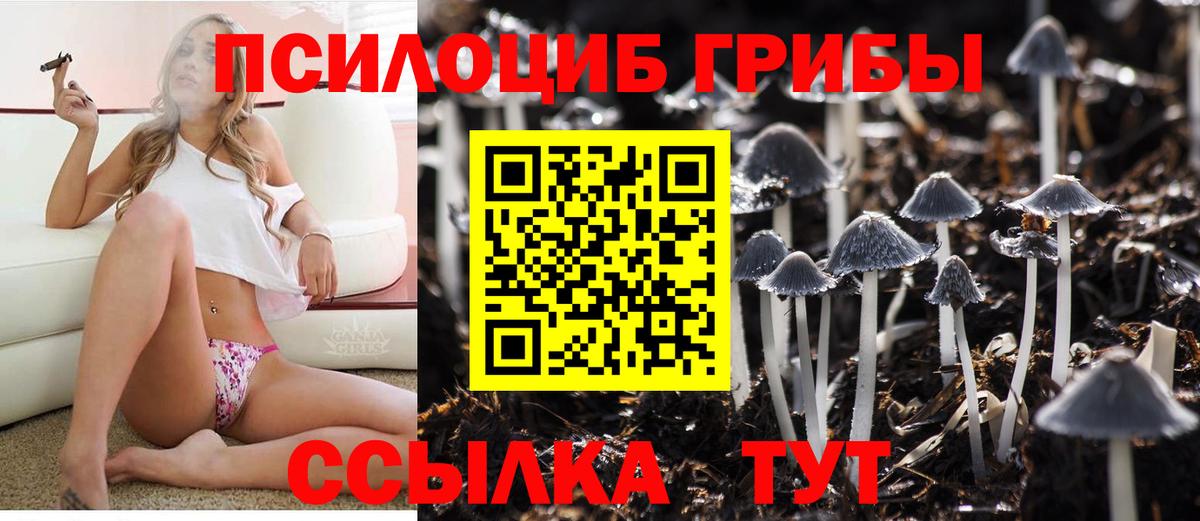 Галлюциногенные грибы мухоморы  Вход с VPN  Кулебаки 