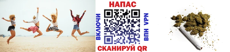 Каннабис план OMG Кулебаки